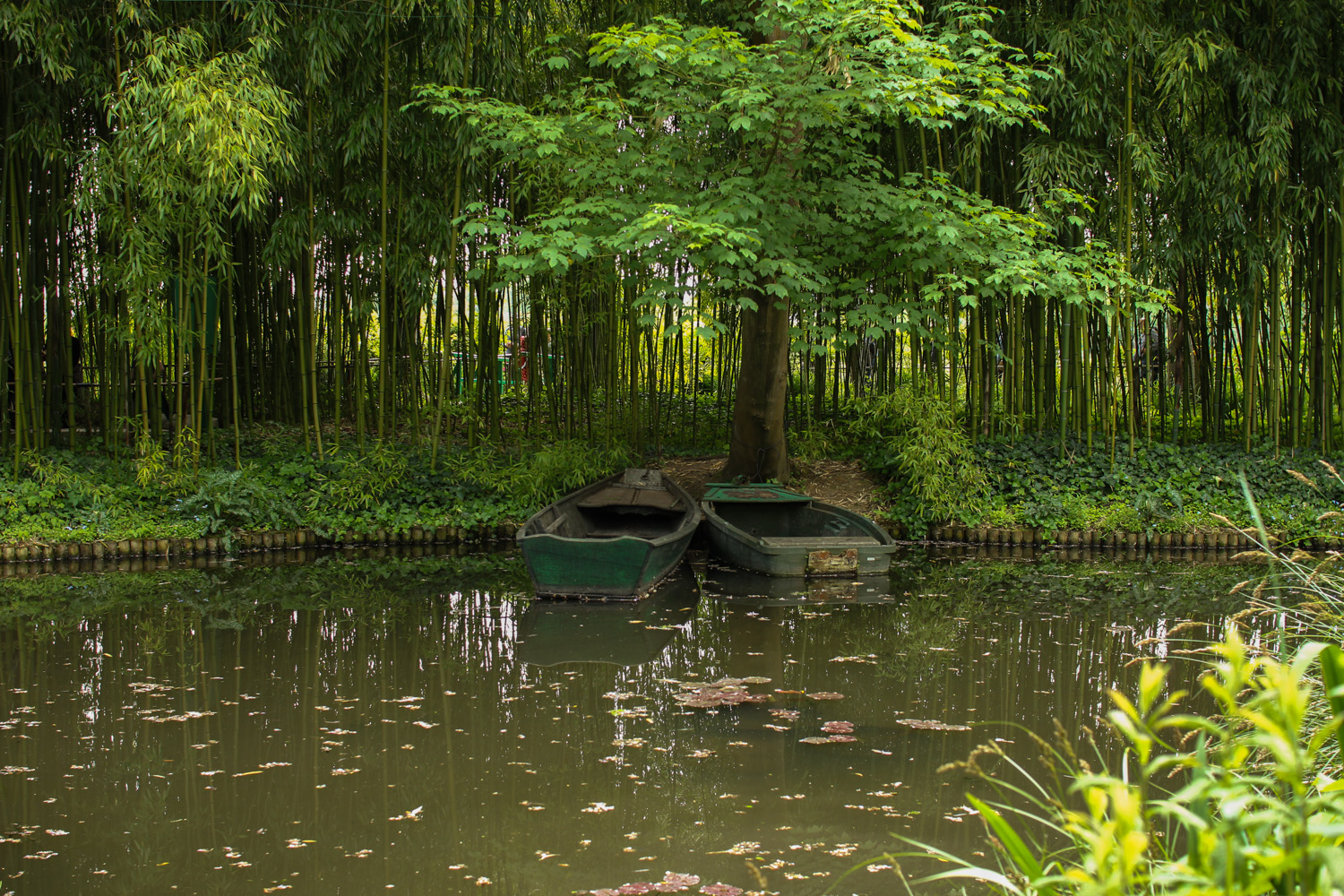 Boats in Monet's Garden, Giverny