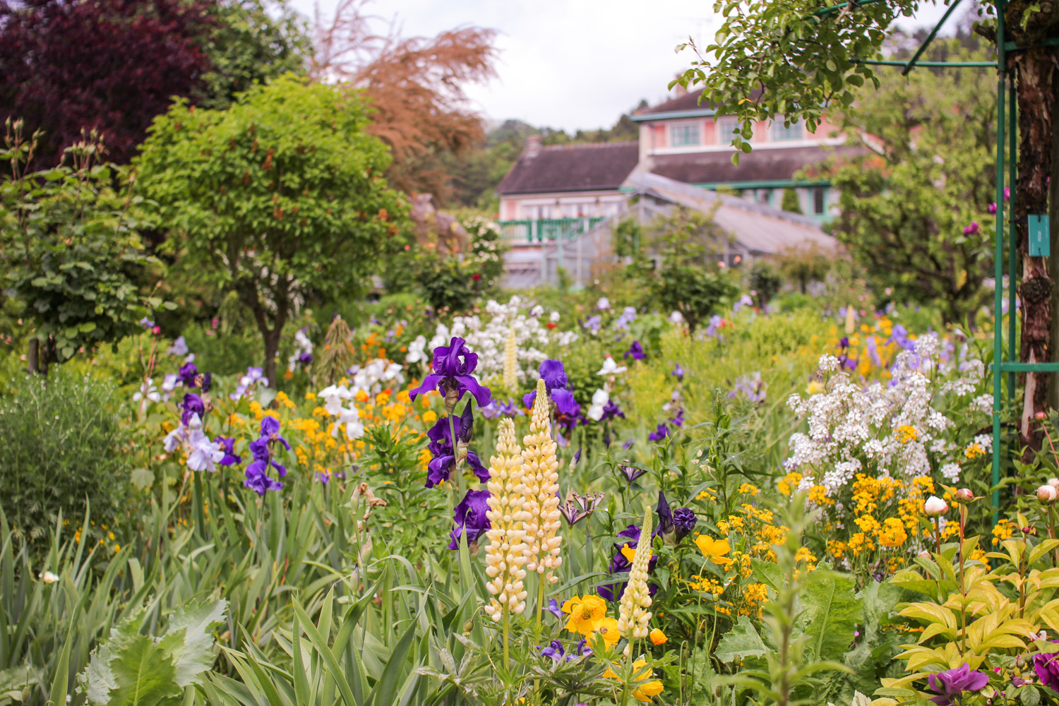 Flowers in Monet's Garden, Giverny