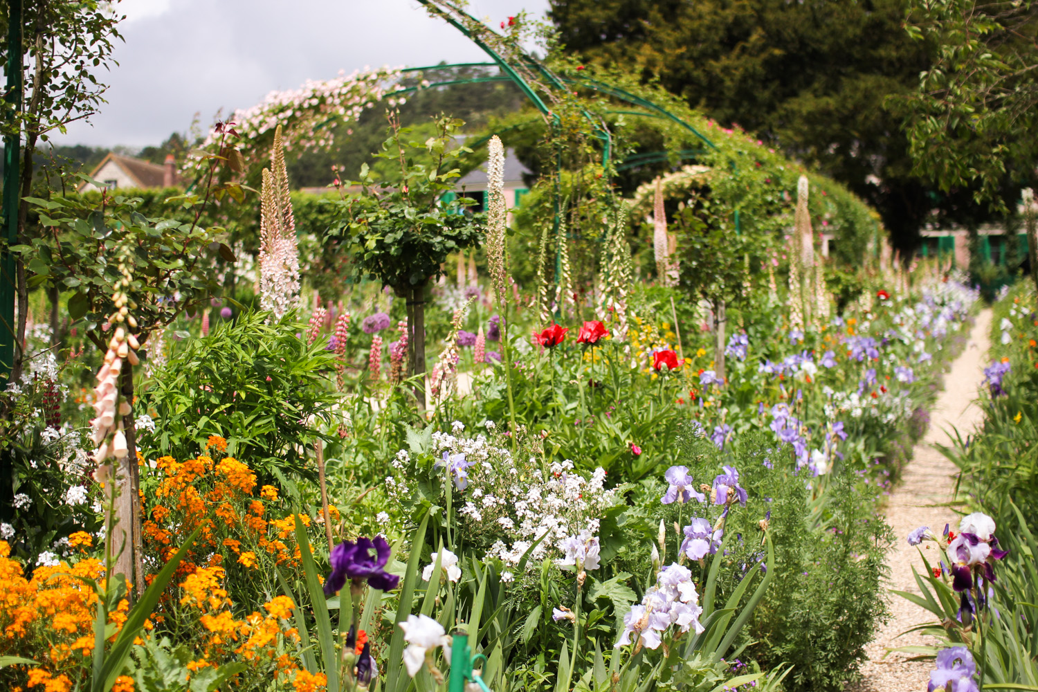 Flowers in Monet's Garden, Giverny