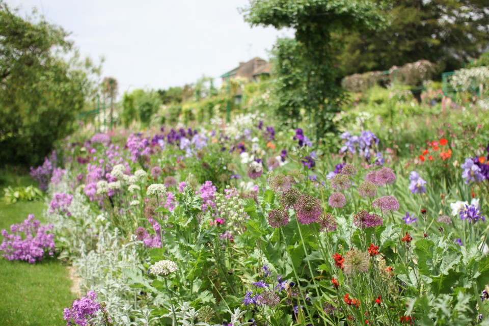 Flowers in Monet's Garden, Giverny Flowers in Monet's Garden, Giverny