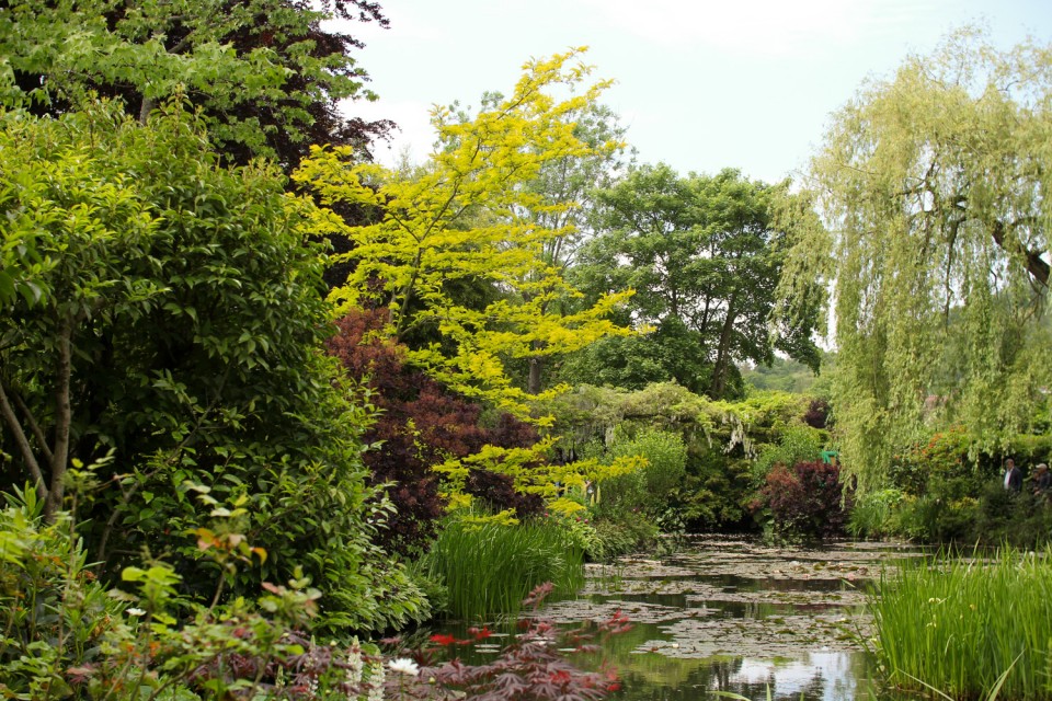 Monet's Garden, Giverny Monet's Garden, Giverny