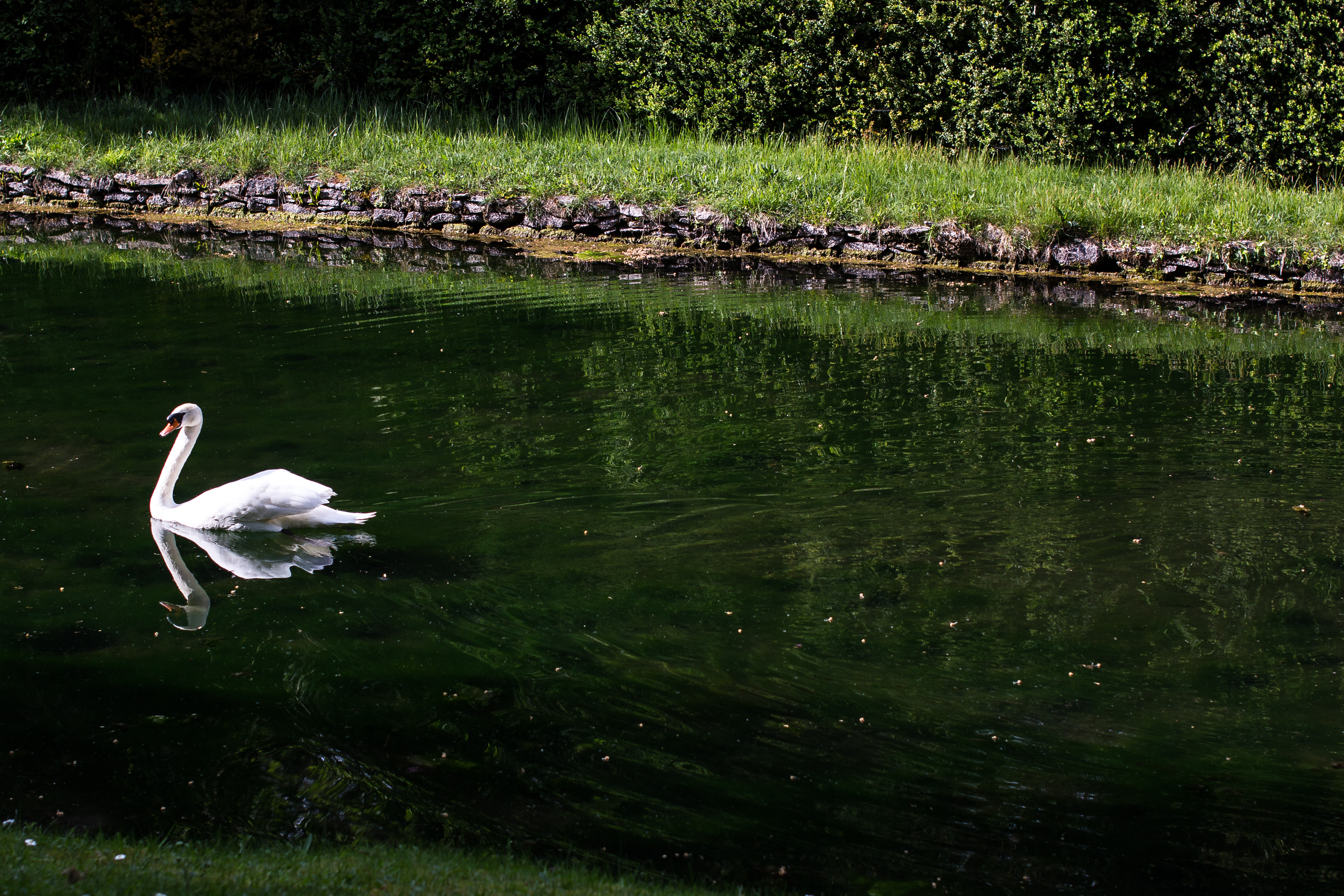 IMG_8525 IMG_8525