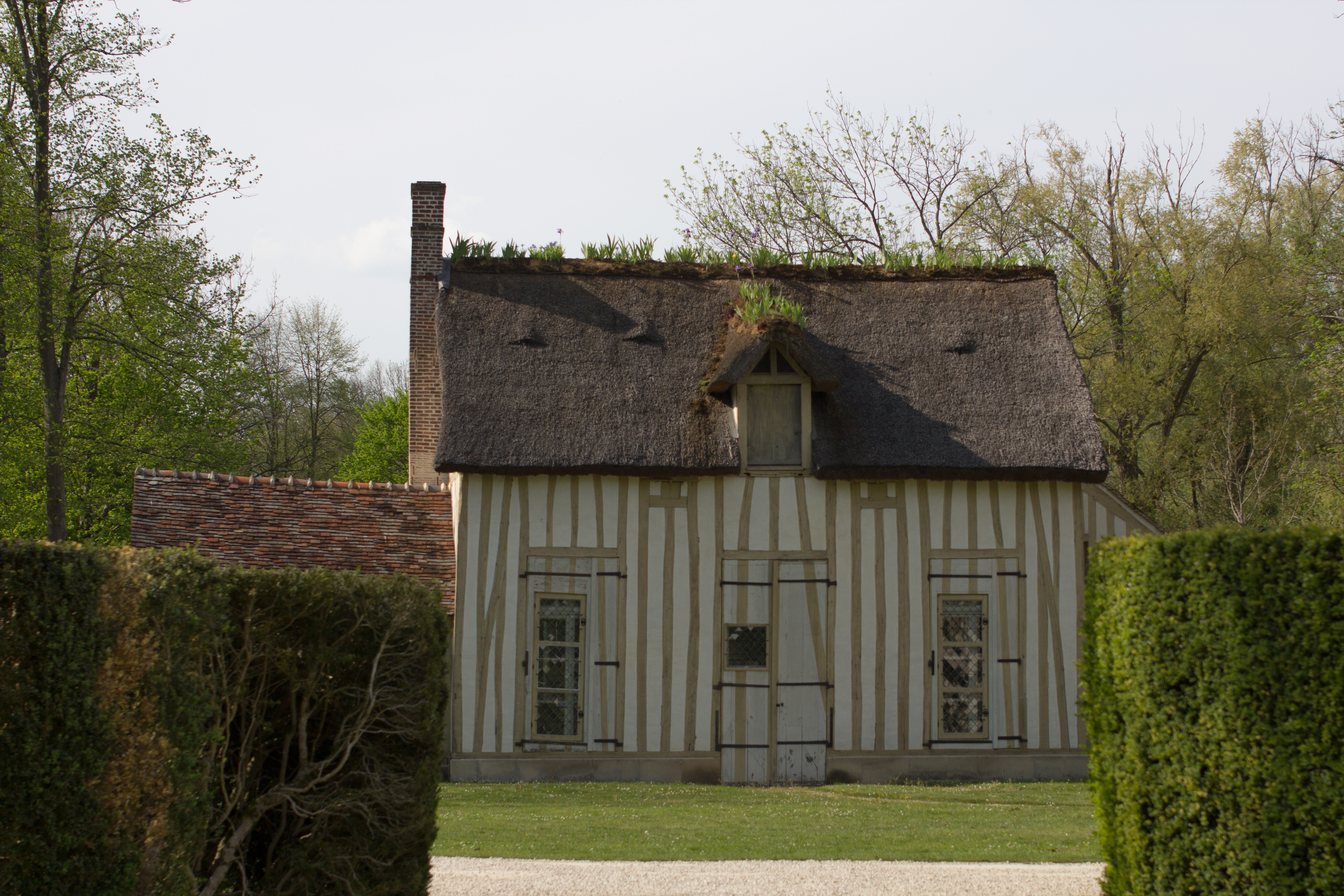 IMG_8540 IMG_8540