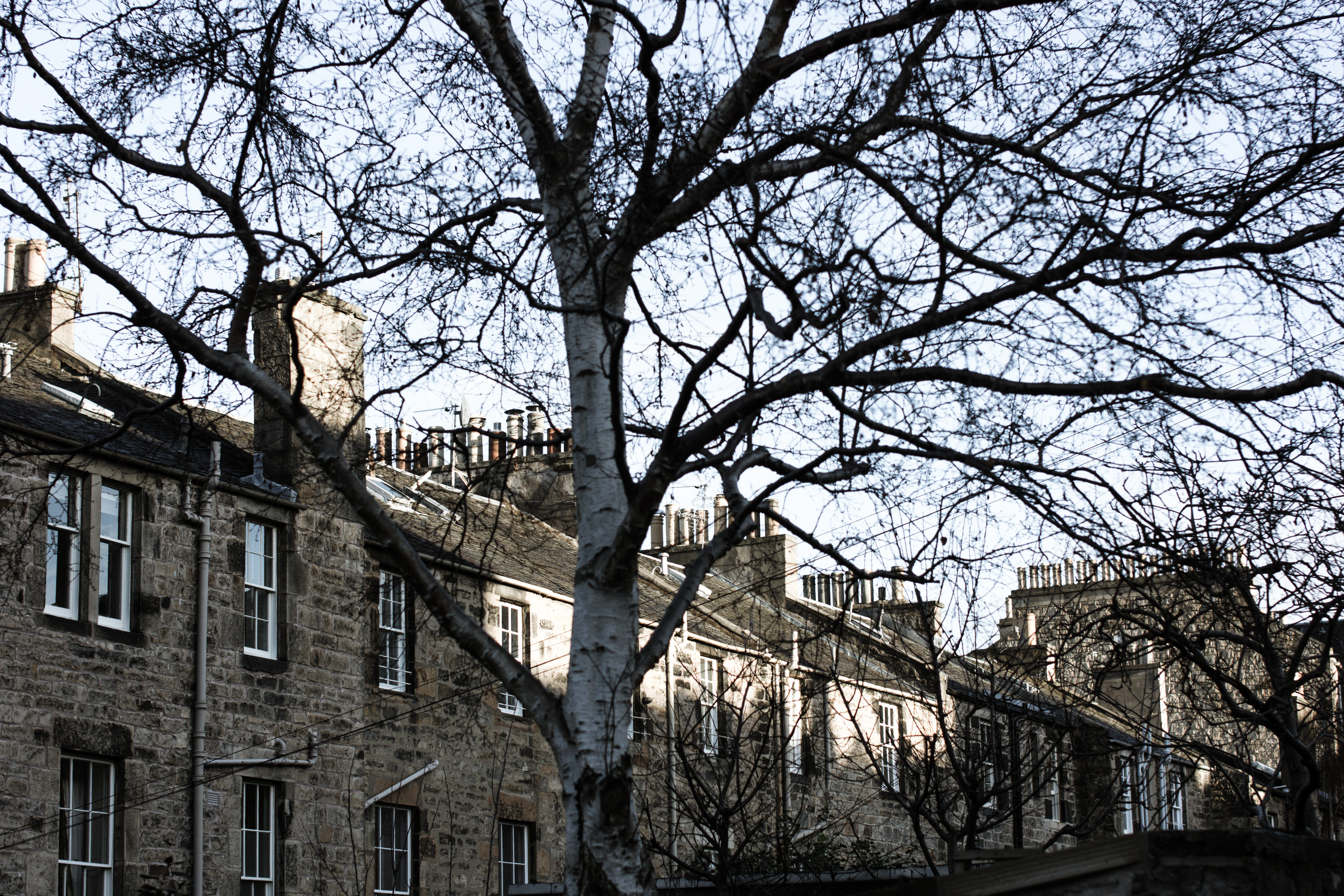 New Town Mews New Town Mews