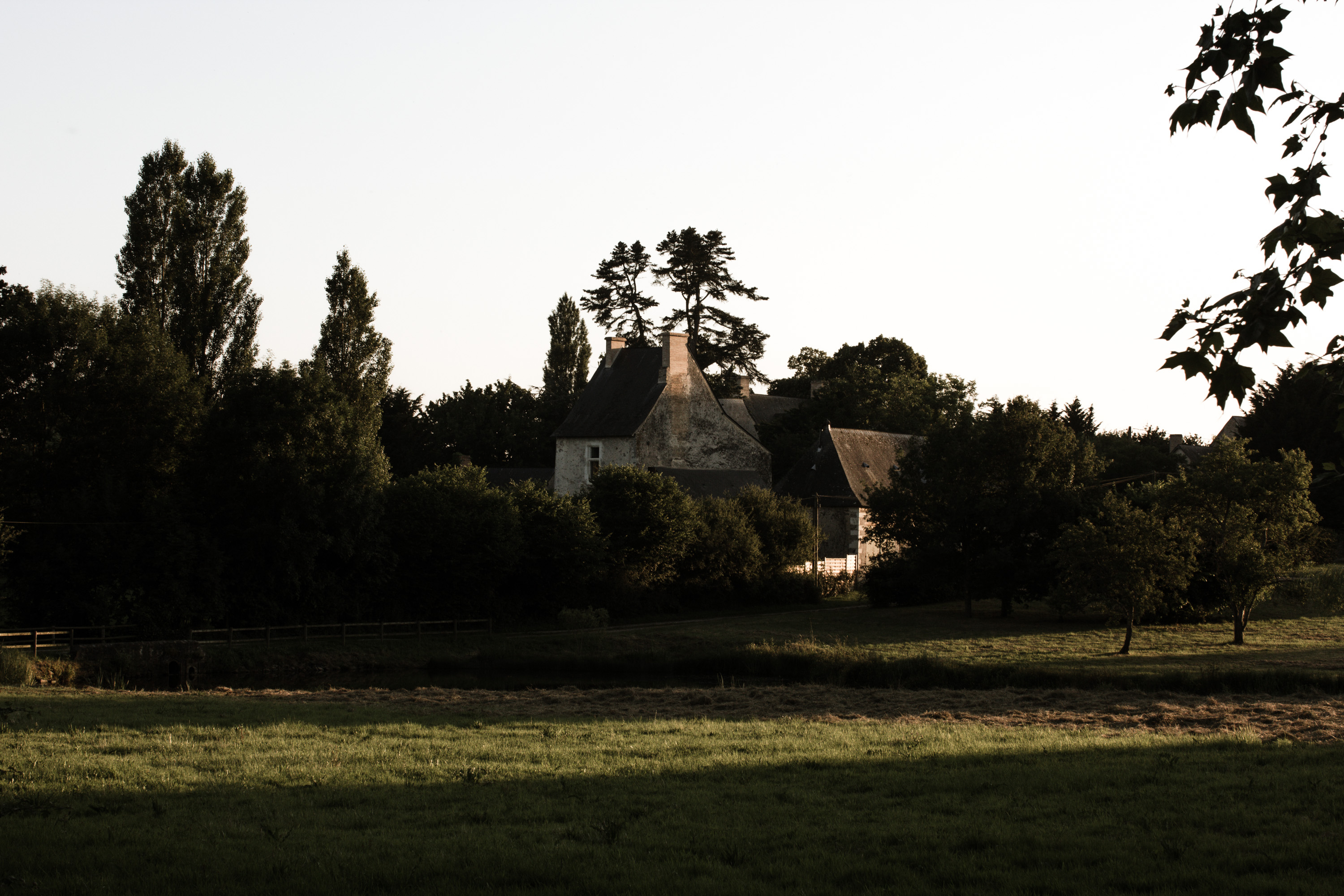 IMG_1032 IMG_1032