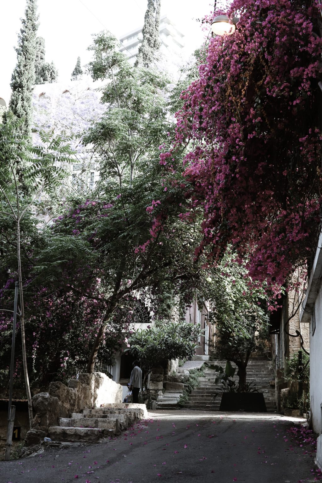 Beirut Beirut