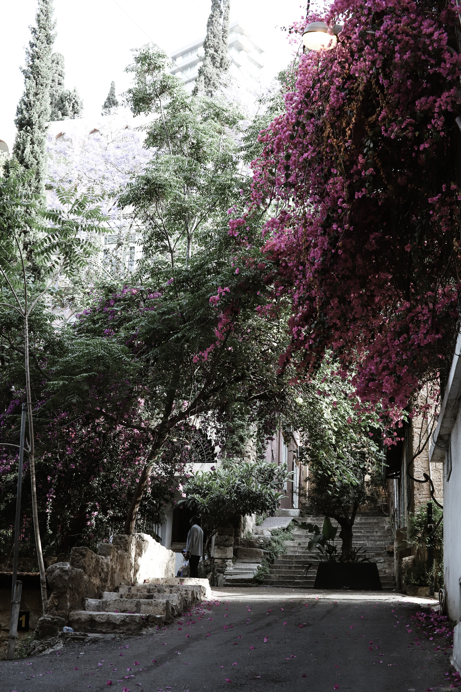 Beirut Beirut