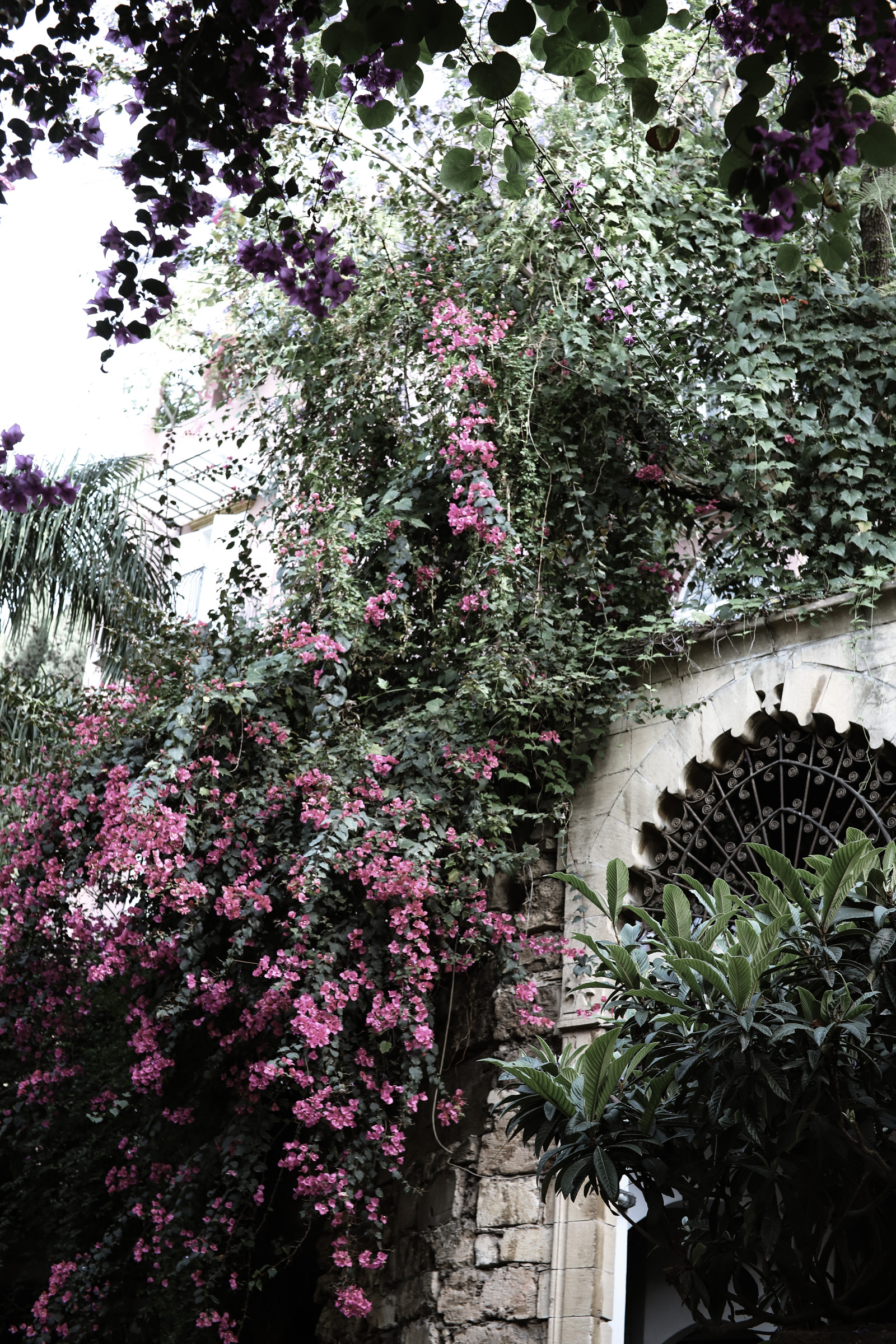 Beirut Beirut