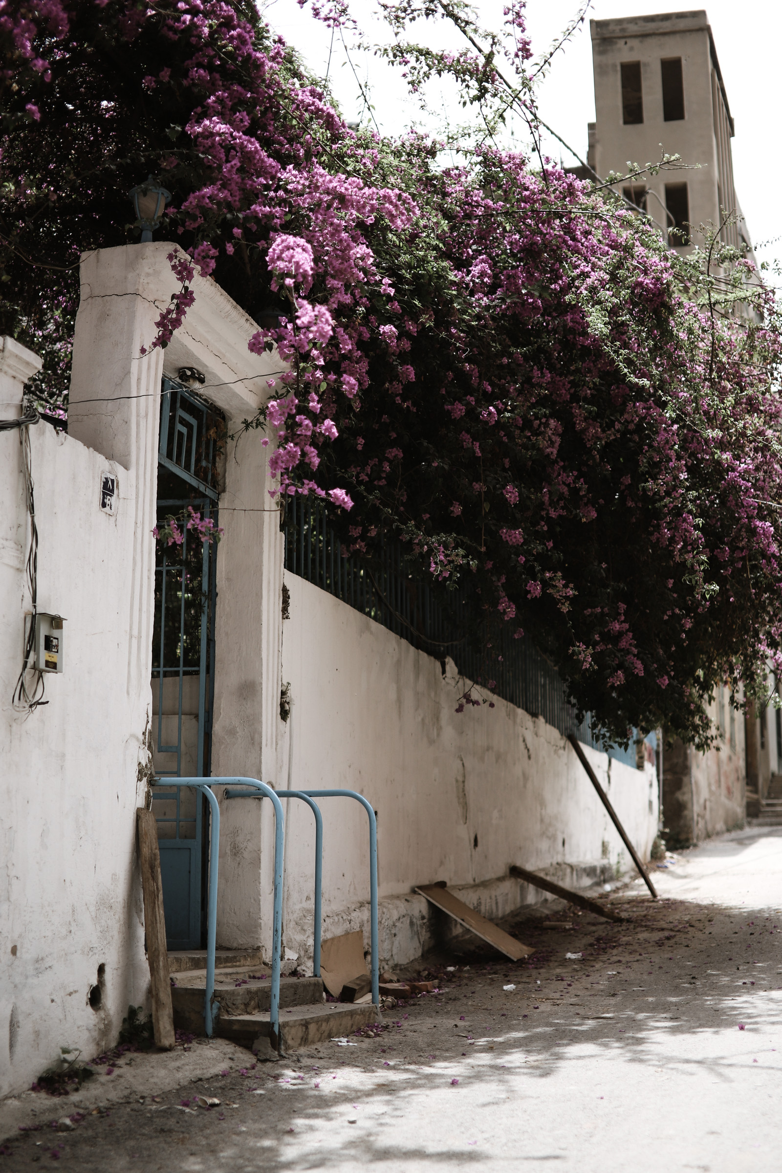 Beirut Beirut