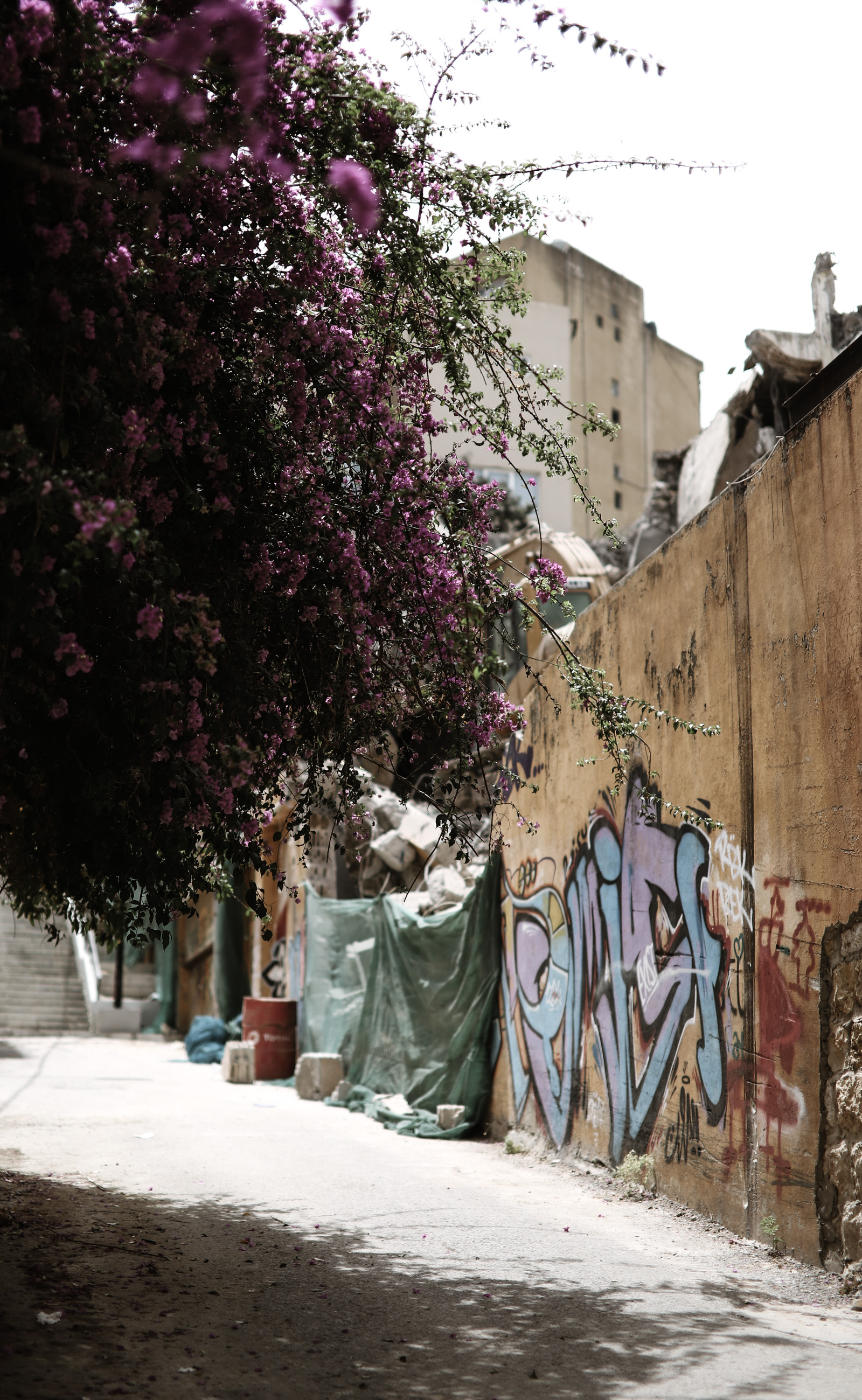 Beirut Beirut